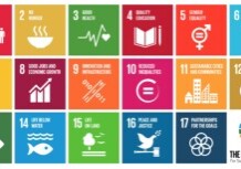 Sustainable Development Goals (SDGs) Icon.